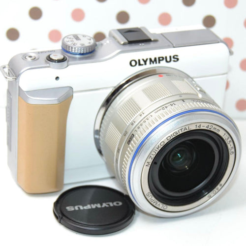 Mirrorless Interchangeable Lens Cameras Pl1