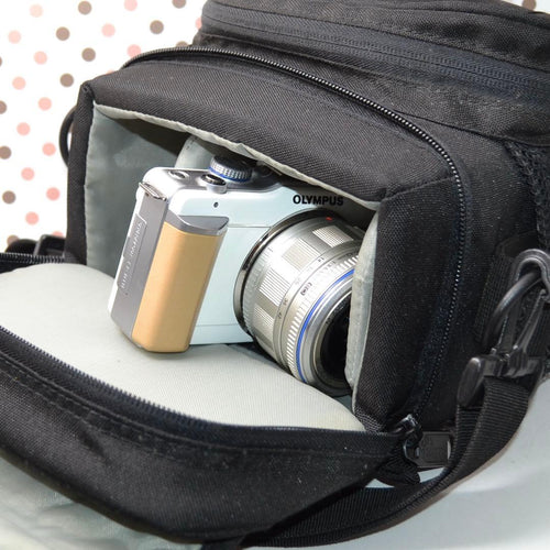 Mirrorless Interchangeable Lens Cameras Pl1