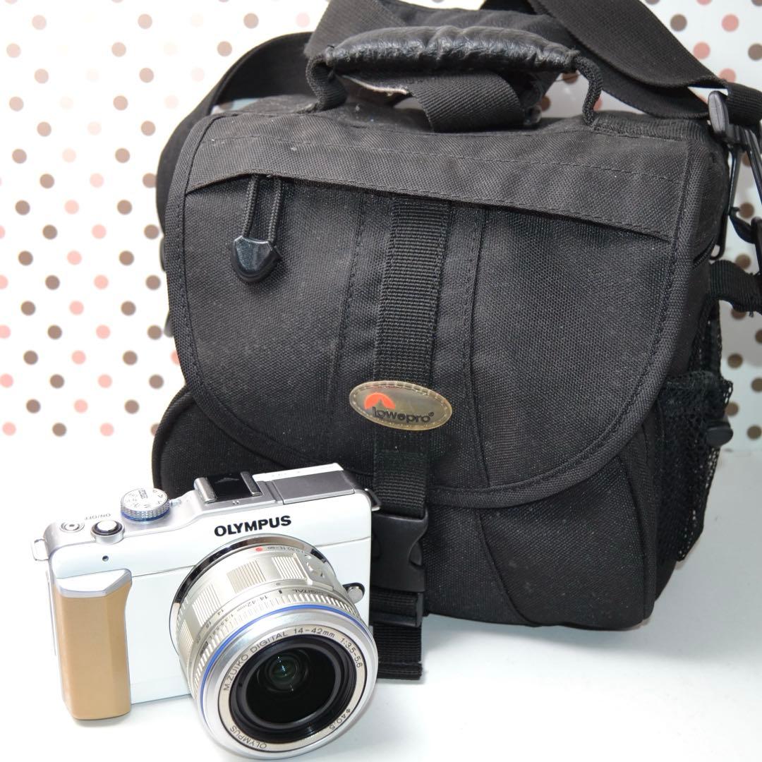 Mirrorless Interchangeable Lens Cameras Pl1