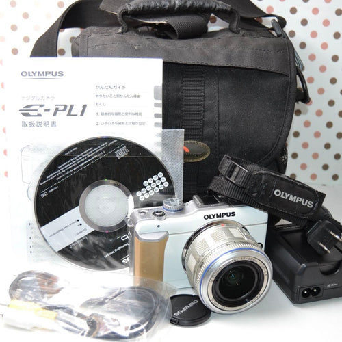 Mirrorless Interchangeable Lens Cameras Pl1