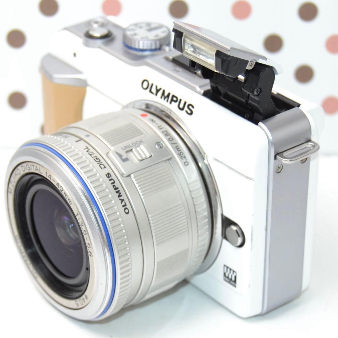 Mirrorless Interchangeable Lens Cameras Pl1
