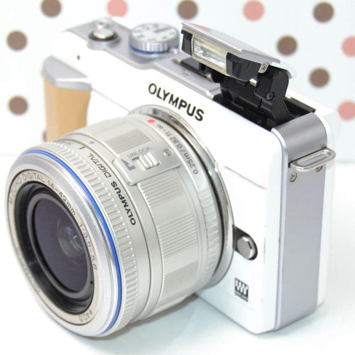Mirrorless Interchangeable Lens Cameras Pl1