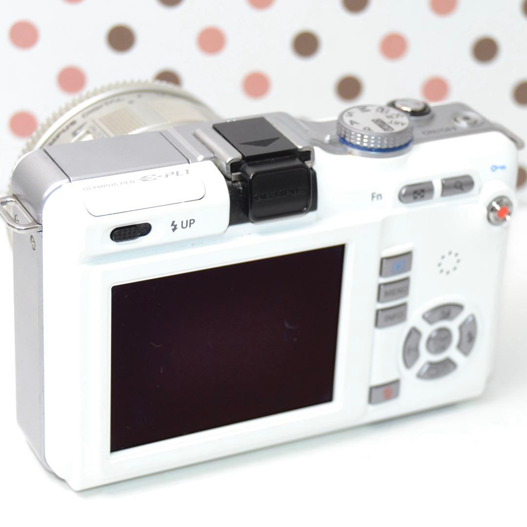 Mirrorless Interchangeable Lens Cameras Pl1