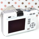 Mirrorless Interchangeable Lens Cameras Pl1