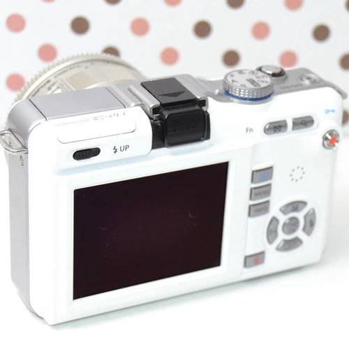 Mirrorless Interchangeable Lens Cameras Pl1