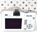 Mirrorless Interchangeable Lens Cameras Pl1