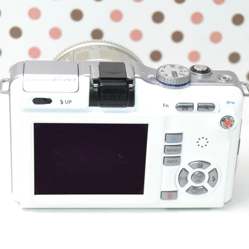 Mirrorless Interchangeable Lens Cameras Pl1