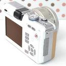 Mirrorless Interchangeable Lens Cameras Pl1