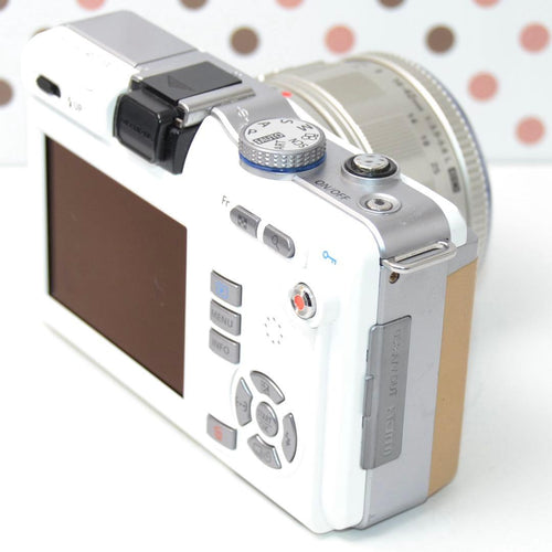 Mirrorless Interchangeable Lens Cameras Pl1