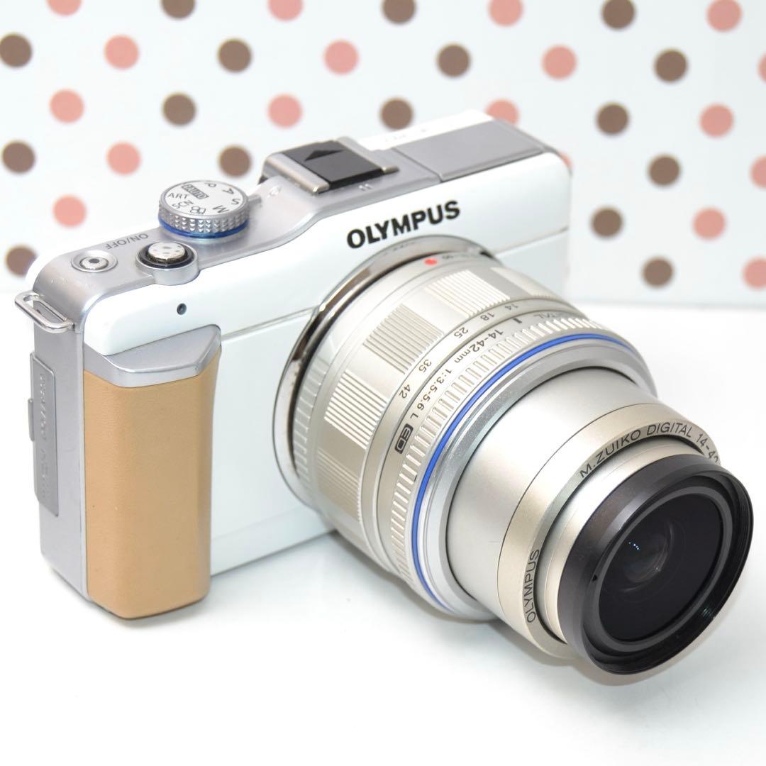 Mirrorless Interchangeable Lens Cameras Pl1