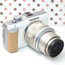 Mirrorless Interchangeable Lens Cameras Pl1