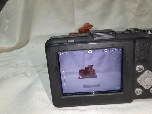 Ricoh Compact Digital Cameras G700Se