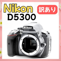 Nikon Digital Slr D5300