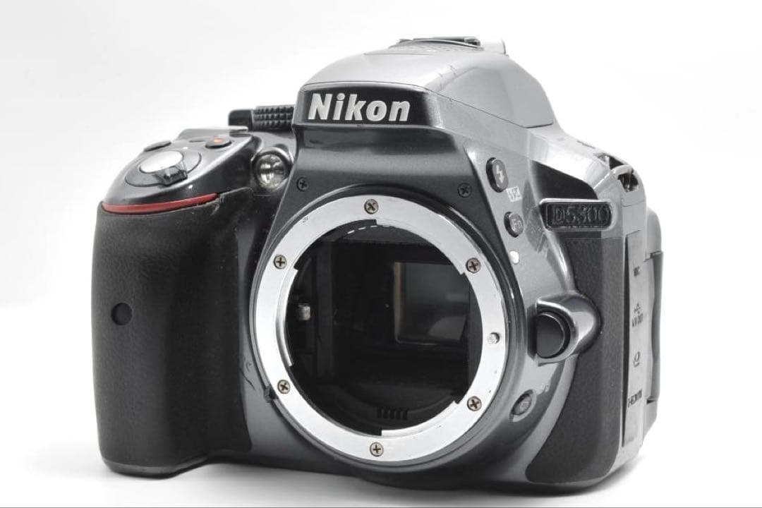 Nikon Digital Slr D5300