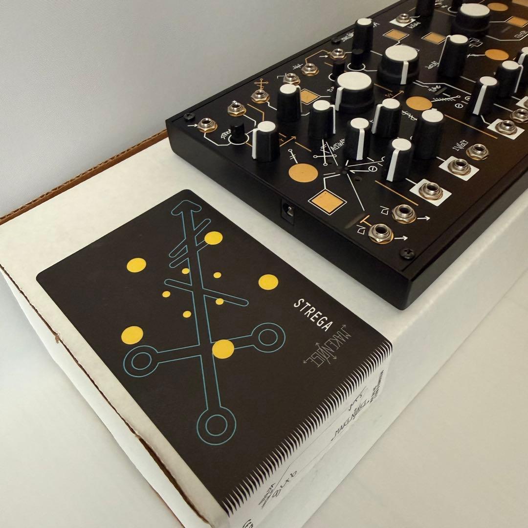 Modular Synthesizers Make Noise Strega