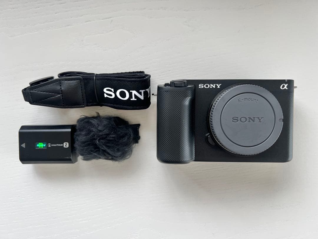 Sony Mirrorless Interchangeable Lens Cameras Zv-E1