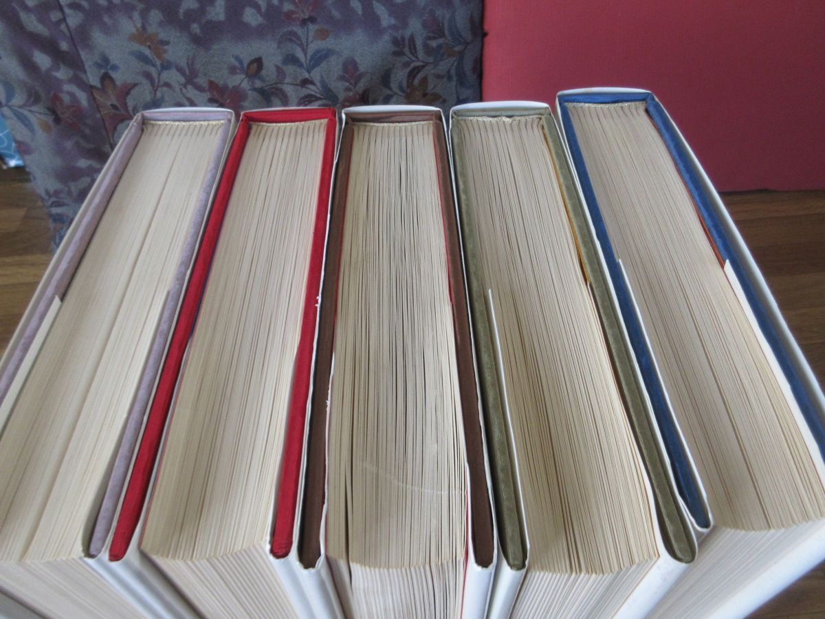 Literature Novel 5
