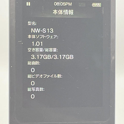 Sony Digital Audio Player Walkman Nw-S13 4Gb