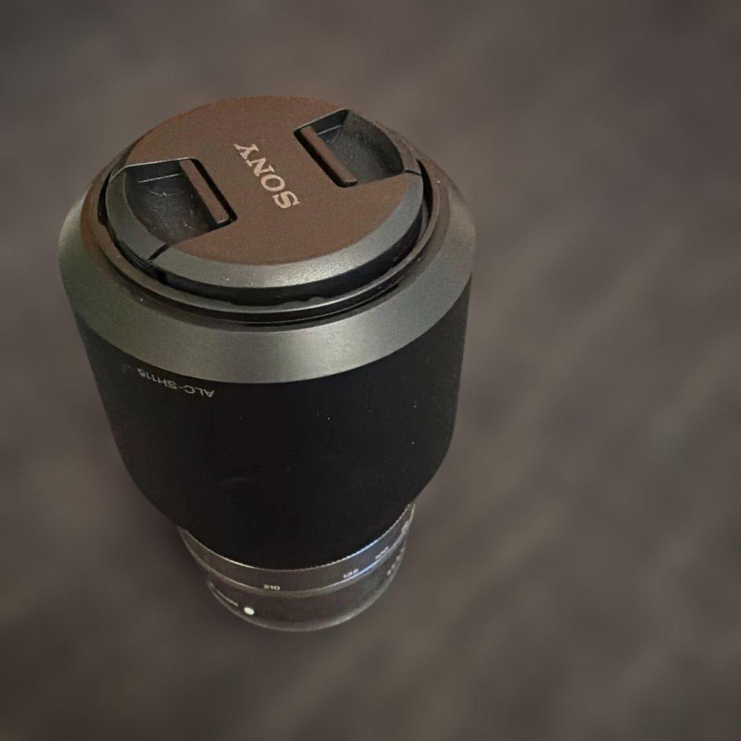 Sony Mirrorless Interchangeable Lens Cameras 6000 2