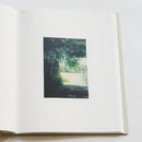 Art Design Music 1 Paintings 1996-2001 By Gerhard Richter