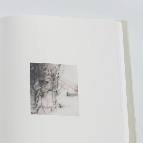 Art Design Music 1 Paintings 1996-2001 By Gerhard Richter