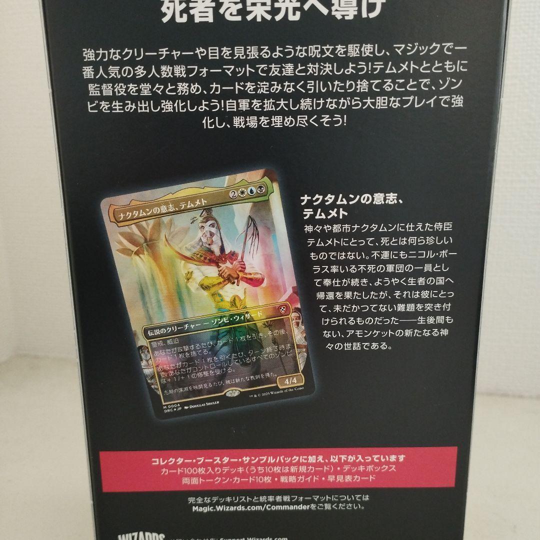 Magic: The Gathering Mtg Jp