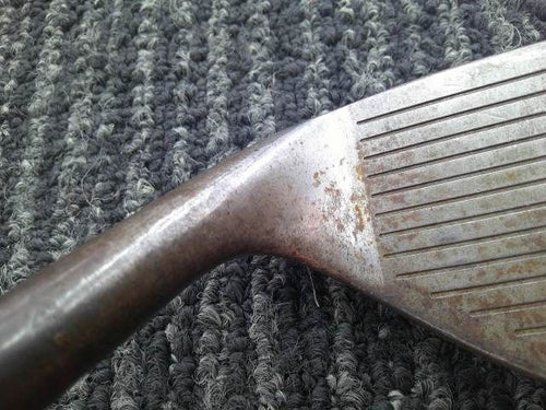 Bridgestone Wedge Biting Spin 50-10/Dynamic Gold Ex Tour Issue/X100/50[2398]