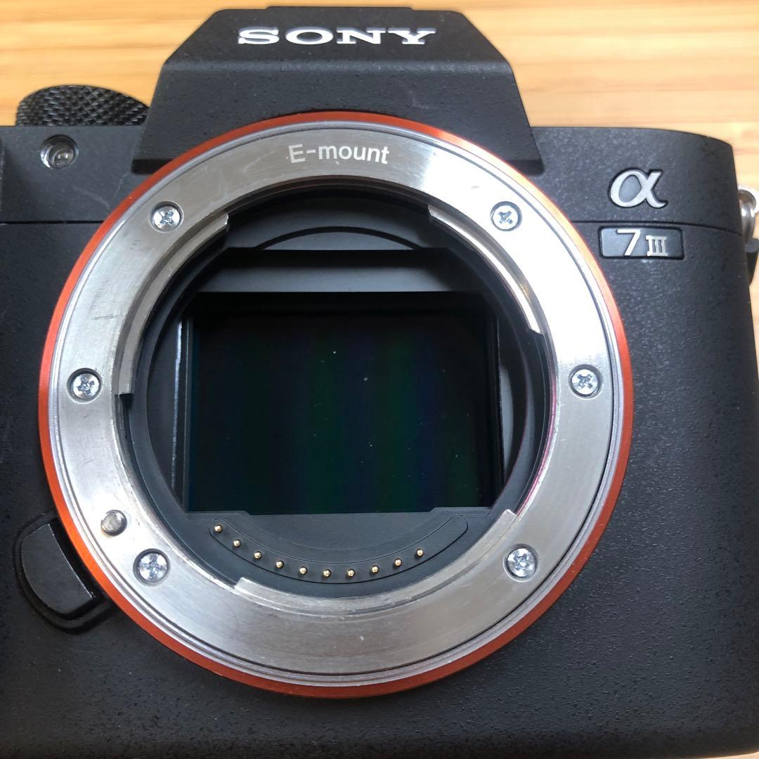 Sony Mirrorless Interchangeable Lens Cameras 7 Iii Ilce-7M 1574