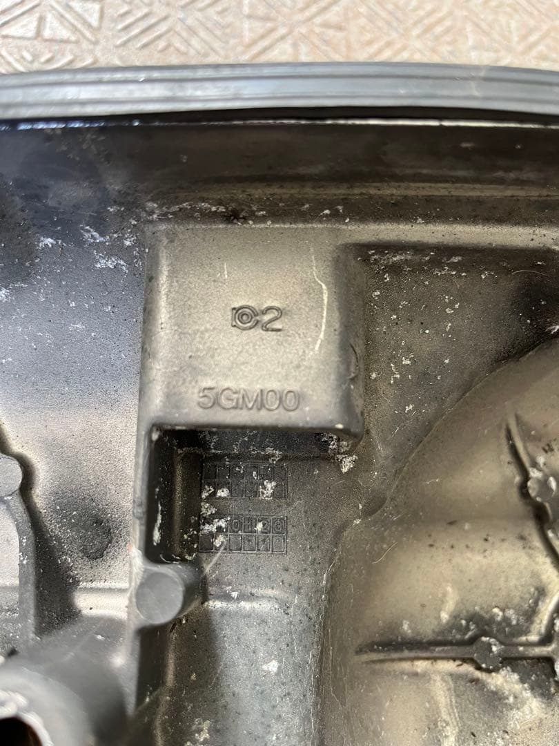 Engine Cooling Yamaha 250 Sg03J