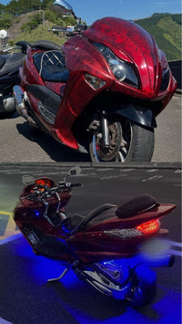 Yamaha Motorcycle Frames Sg20J