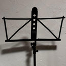 Yamaha Other Ms-250Als