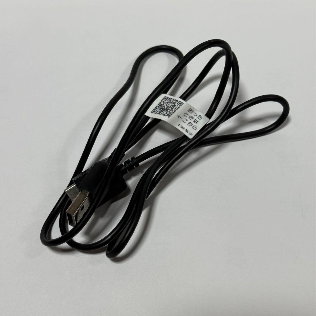 Sony Digital Audio Players Nw-F806