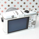 Olympus Mirrorless Interchangeable Lens Cameras P3