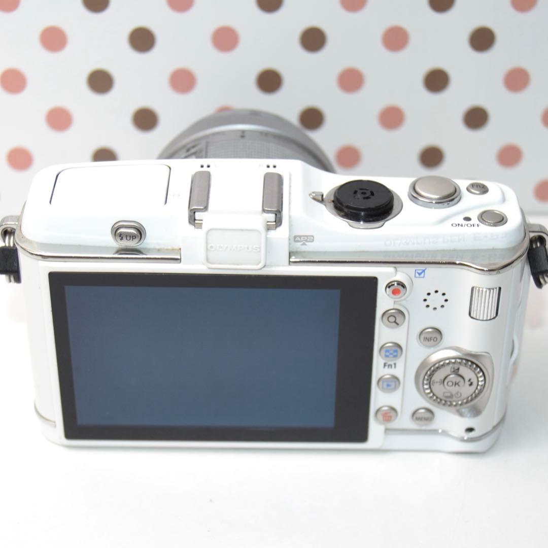 Olympus Mirrorless Interchangeable Lens Cameras P3