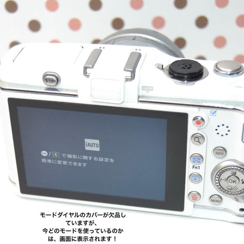 Olympus Mirrorless Interchangeable Lens Cameras P3