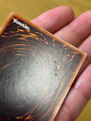 Yu-Gi-Oh! Ocg Duel Monsters (Japanese)
