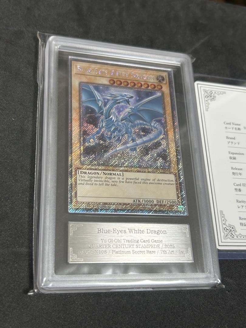 Pok Mon Trading Card Game Ars10