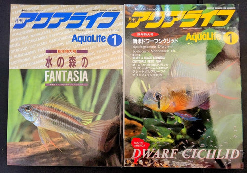 Hobbies 8