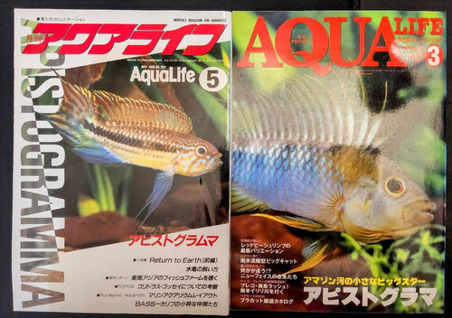 Hobbies 8