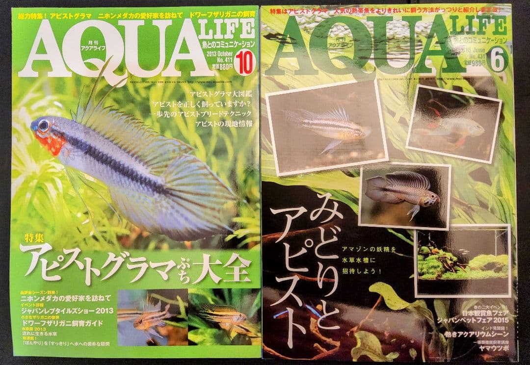 Hobbies 8