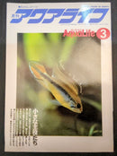 Hobbies 8