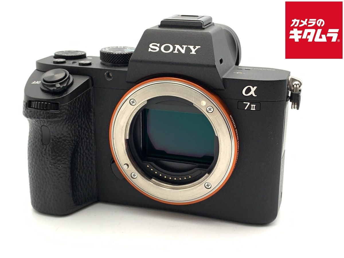 Mirrorless Interchangeable Lips 7Ii [Ilce-7M2]