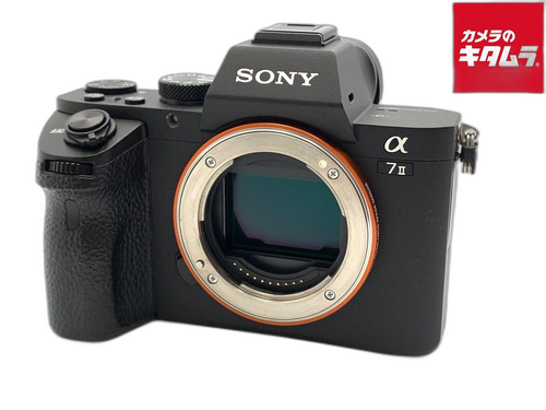 Mirrorless Interchangeable Lips 7Ii [Ilce-7M2]