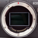 Canon Mirrorless Interchangeable Lips 4000 Eos Rp #0213