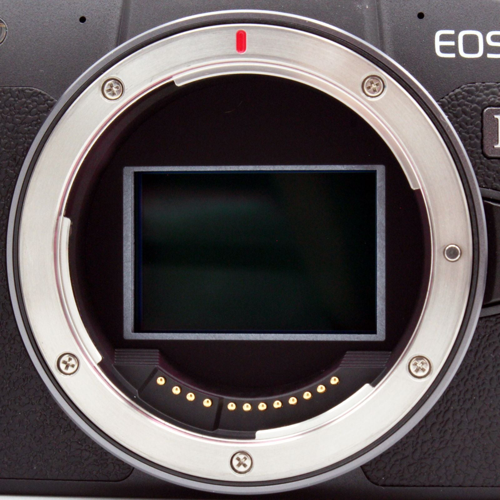 Canon Mirrorless Interchangeable Lips 4000 Eos Rp #0213