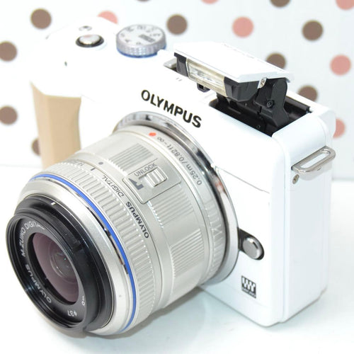Olympus Mirrorless Interchangeable Lens Cameras Pl1S
