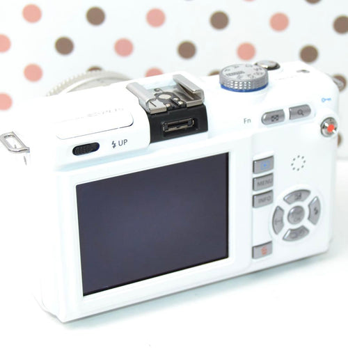 Olympus Mirrorless Interchangeable Lens Cameras Pl1S