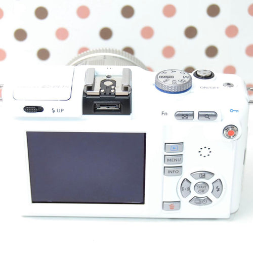 Olympus Mirrorless Interchangeable Lens Cameras Pl1S