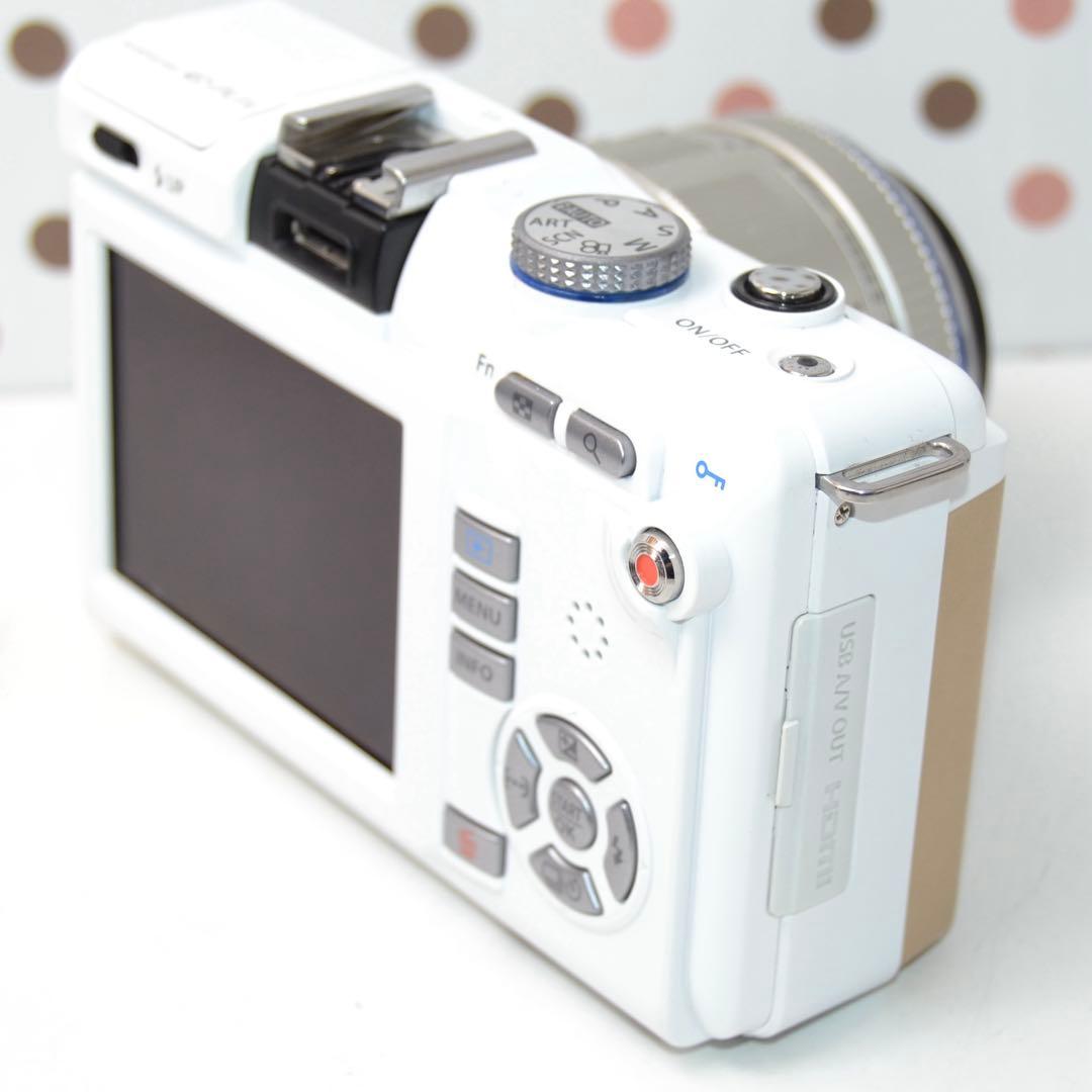 Olympus Mirrorless Interchangeable Lens Cameras Pl1S
