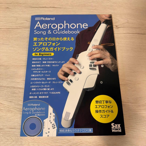 Art, Design Music Roland Aerophone Ae-Sg01
